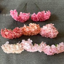 Wʽ5^滨[YcbҾӿ͏dꐽl