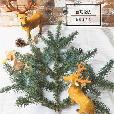 natural Pine branch Christmas decorate Material Science Nobel Replace branch Christmas gift gift