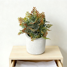 ���W�L����ֲ�����ԟo���B�F��ާ�҃�����[���h���ļ��G���b�