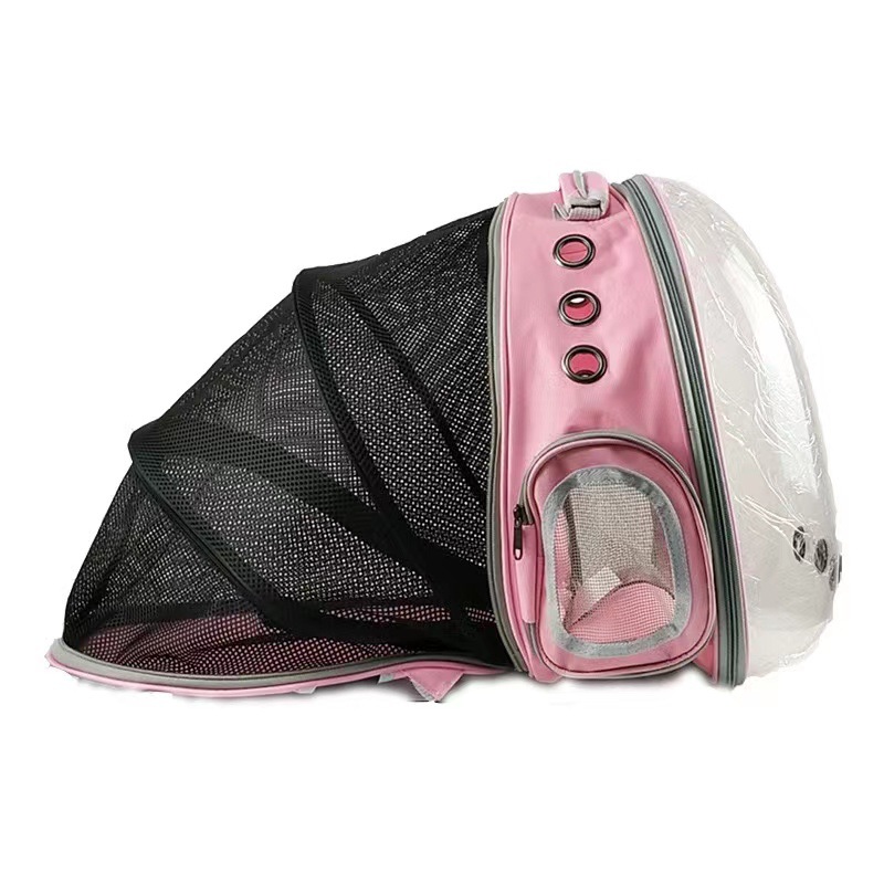 Pink (extended version)