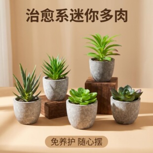 ���R�d����������㼈�{�������ԽM���҃��̨����������С����