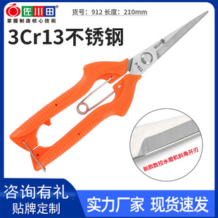 Sagawa Tian 912 stainless steel grape scissors pointed fruit scissors garden finishing cutting orange fruit tree scissors picking pepper