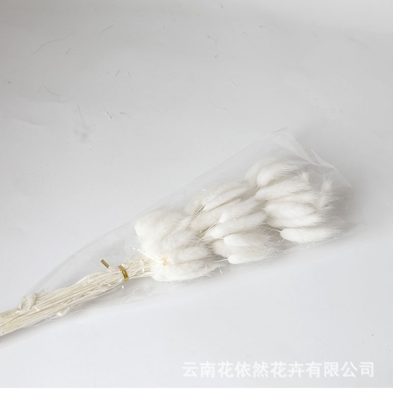 Flor seca Flor eterna Gypsophila Bola de oro No me olvides Flor seca Rosa hoja de eucalipto Pine Fruit Lover Grass al por mayor