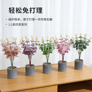 �羳���N 3D��ӡ16�^ �����ȼ����������X�~�Ҿ��bGֲ�ٻ����l