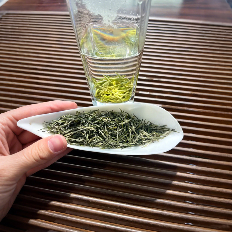 绿茶茶叶毛尖雨后毛尖新茶毛尖代发专区不同规格一件代发工厂直销|undefined