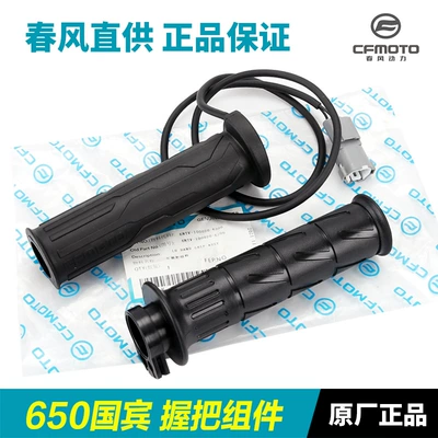 Motorcycle Handle Cover, 650Tr-G Cf650-6-6A: Left and Right