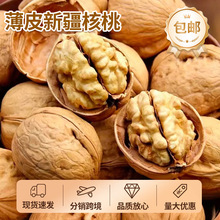 薄皮核桃新货原味核桃坚果年货生核桃办公室休闲零食新疆纸皮核桃