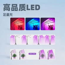 ��؟�LEDֲ�����L��������a������ܹ���ˮ�݌��ÿ��{���b��