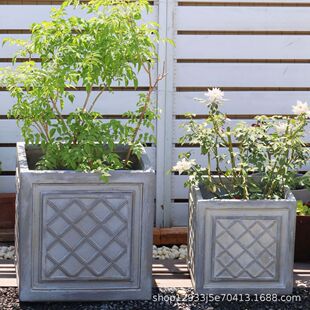 Դ�^�S��ֱ�N���l�����VӲģ���fˮ��ɫ��y�������s����������