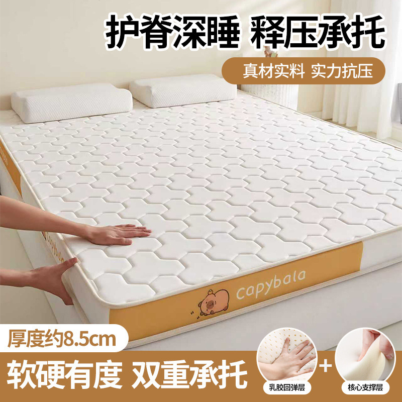 Class a Knitted Latex Sponge Mattress for Rental Hotels, Thickened Tatami Memory Foam Mattress for Student Dormitories