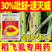 30%�����ٜ������x��ˮ�����wʭ����ș���������wʭ��������ͪ�L