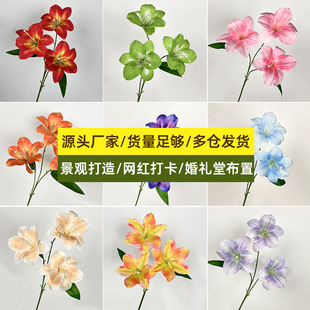 3D��ӡ��ݰٺϻ�c�û���ɫϵ���滨��Y�b廨�����l��ɫ����