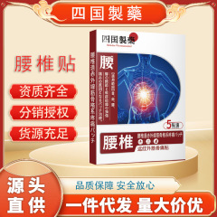 李時珍抗鼻腔アレルギーゲル鼻舒鼻塞鼻かゆみ鼻水急慢性副鼻腔炎鼻腔スプレー