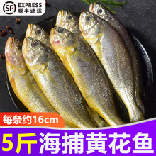 5��С�S���~���r����������uС�S�~�Ǵ��S�~��~���rˮ�a����