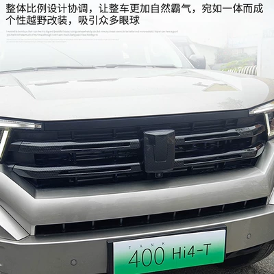 China Net Trim Strip Car: Other Automotive Exterior Supplies
