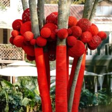 Ԫ������tɫ�پ���ë������⾰�^��֦�Ғ��b���ꐄ��⹝���b��