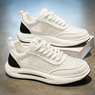 Men's Shoes 2025 New Spring and Summer Breathable Ice Mesh Casual Sneakers Lightweight Soft Sole Low-Top White Shoes for Men