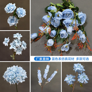 ��c�{ɫ���滨10ֻ�bõ�彑��ĵ������Y�û�ˇ�b廨·������