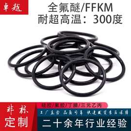 定制加工全氟醚橡胶O型圈FFKM胶圈橡胶制品高压O型密封圈密封件