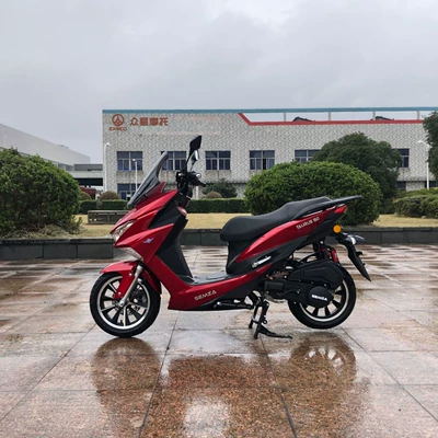 Motosikletlər Lion Roar 2024 Assisted