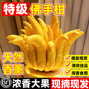 ���r���ָ�ˮ����֦�҃ȾGֲ�r���^�p�幩���ֹ���޹�[���㙴����