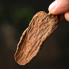 淳滋堂金鎖陽片150克 鎖陽片搭配肉蓯蓉黃精韭菜子淫羊藿 泡酒料