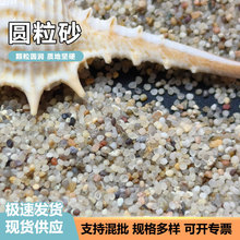 圆粒沙儿童游乐场海沙人造沙滩无尘水洗沙烘干沙马场沙鱼缸底沙