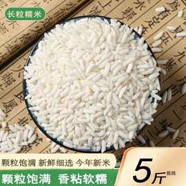 新货长糯米5斤农家自种香粘黏长粒糯米江米大白糯米包粽子做米酒