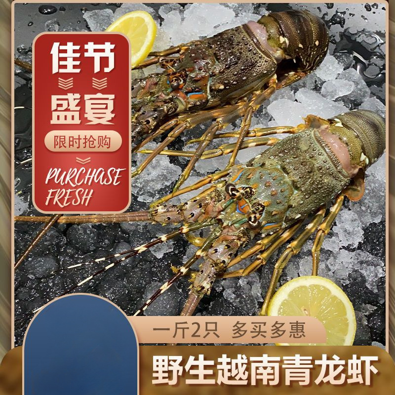 青龙虾 野生海鲜大龙虾活冻进口波士顿龙虾冰冻青龙虾面包蟹鲍鱼