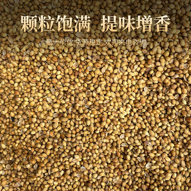 國產香菜籽產地芥末籽調料芹菜籽香辛料香料滷料芫茜籽芫荽籽