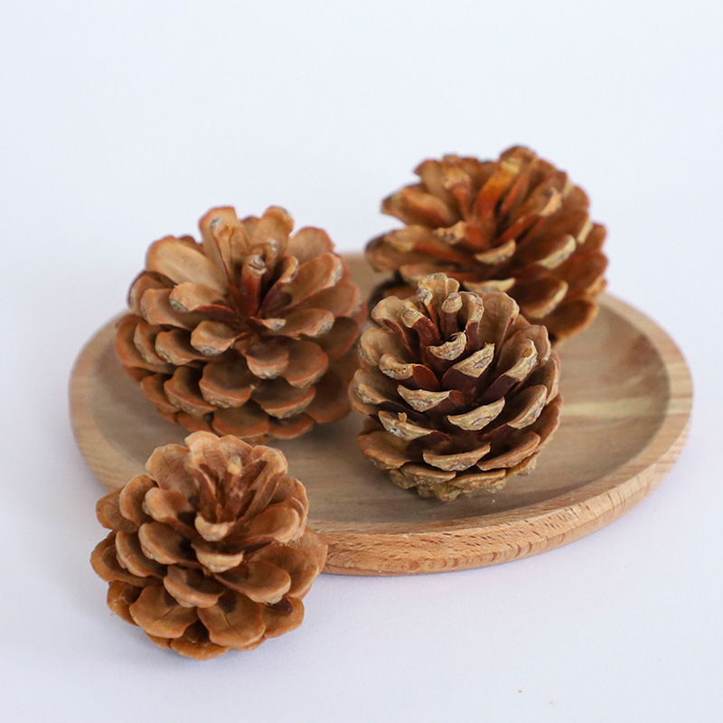 Manufacturer Wholesale Dried Pine Cones Christmas Decorations DIY Photography Props Handmade DIY Pine Cone Materials Natural
