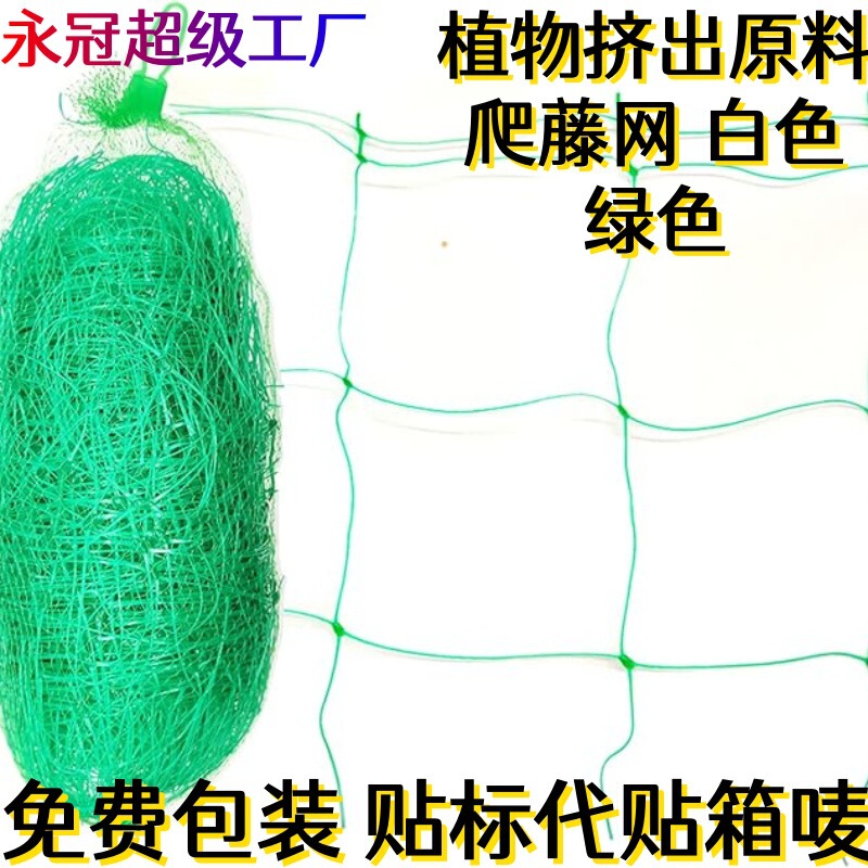 Green Gardening Net Flower Lattice Net Plant Climbing Net Passion Fruit Rack Bracket Net Fruit and Vegetable Net Light Transmission Green Gardening Net Flower Lattice Net Plant Climbing Net Passion Fruit Rack Bracket Net Fruit and Vegetable Net Light Transmission