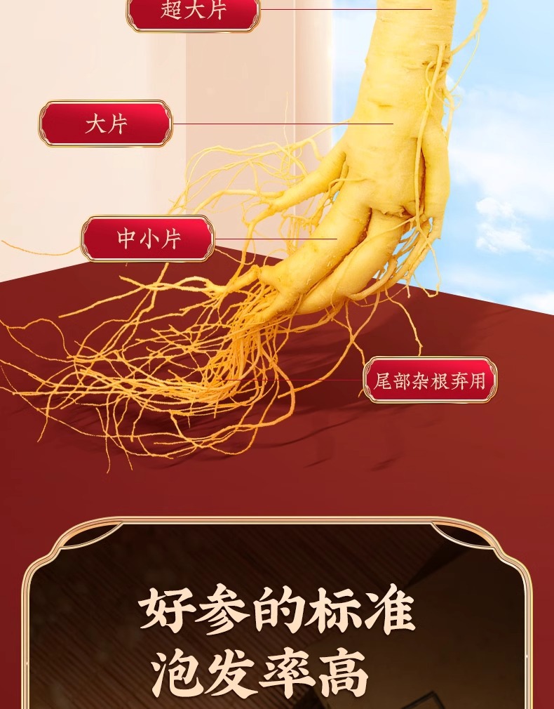 American Ginseng Slices Xi Yang Shen 40g Jar Whole Root Slices for Tea and Daily Wellness quality and texture