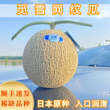 �ձ�Ʒ�NҒѩ�W�y�۹����r�������Ϲ��۹�����ЋD����ˮ��