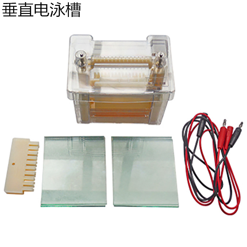 27023垂直电泳槽教学水平双垂直电泳仪实验仪器高中学生物理厂家