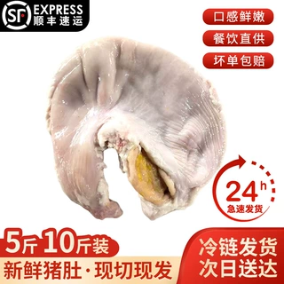 5斤生鲜猪肚整箱商用火锅串串猪内脏顺丰冷链土猪新鲜煲汤猪肚子