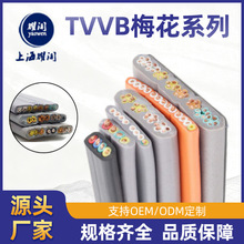 TRVV|̹朾~ԙC늾l͸