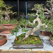 �辰�Ϙ����Ӱ�ϞС�~���ܼtѿȸ÷����������t����Ƥ�S������