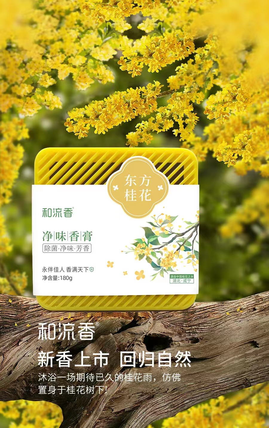 Heliu Fragrance Car Aromatherapy Household Indoor Lasting Fragrance Car Deodorant and Bacteria Removal Large Capacity Solid Fragrance Perfume
