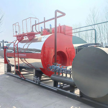 �S��ֱ�NWNS1-1.25-YQ-��ʽ1�����͵�ȼ������偠t �r��1��偠t