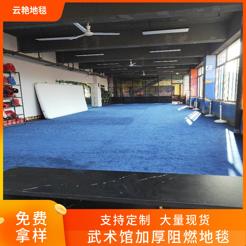 Martial Arts Hall Conference Room Yoga Studio Hotel Flame Retardant Recording Studio Audio Room Bedroom Thickeneded Elbow Yarn Full Carpet