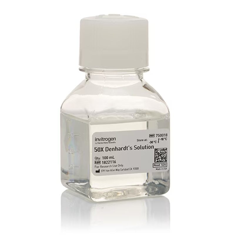 750018赛默飞Denhardt溶液50X转印缓冲液100mlThermo Invitrogen