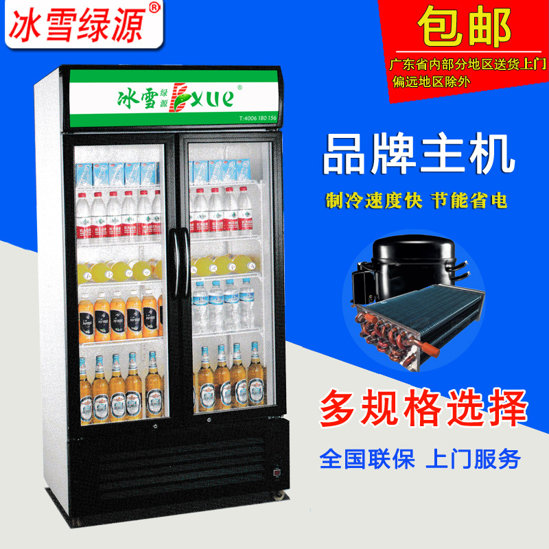 冰雪绿源立式两开门冰箱饮料冷藏柜展示柜冰柜商用保鲜柜超市冷柜