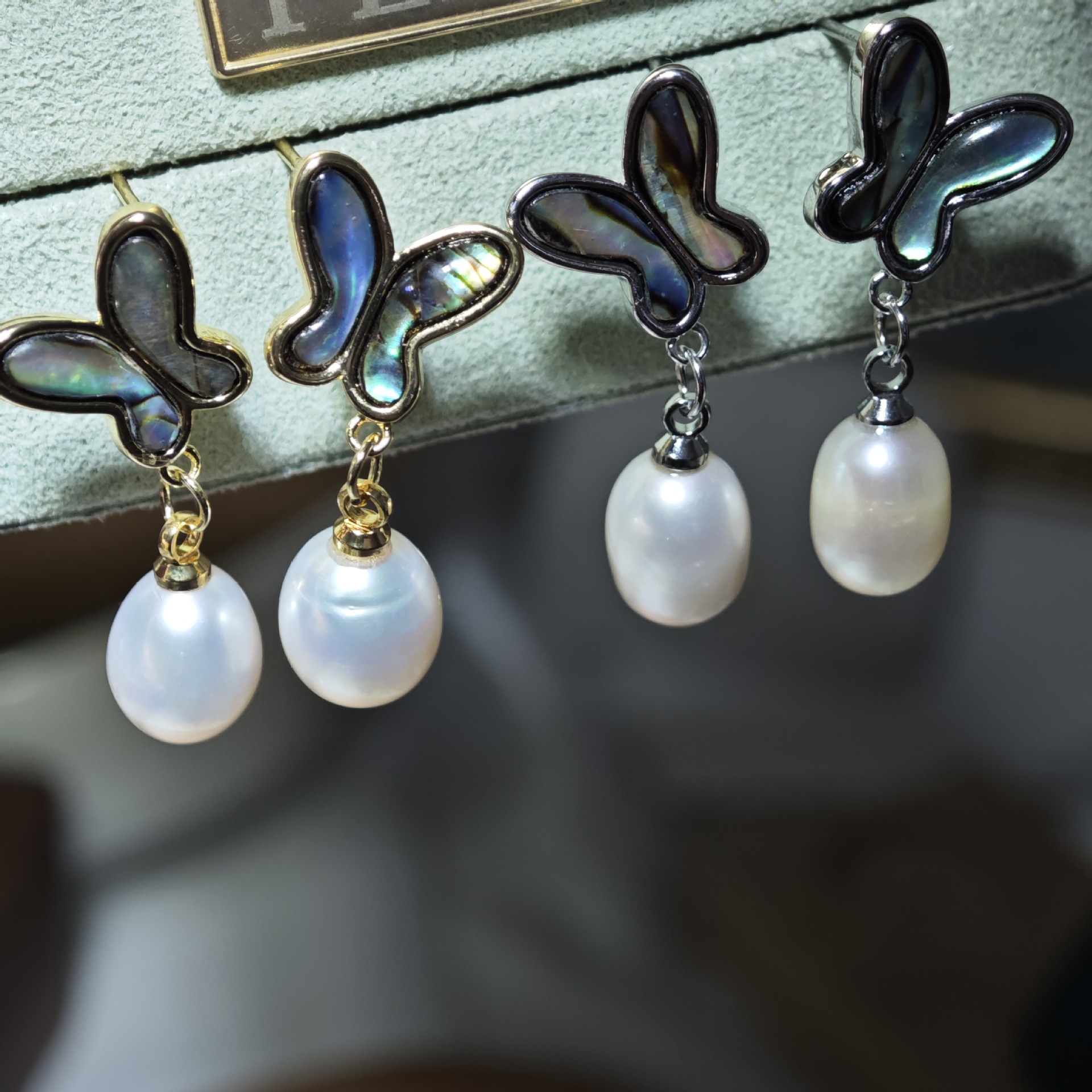 전복 나비 흰색