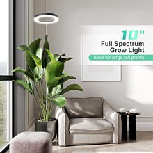 ���Ɓ��R�d160����ʹ�h�҃ȷ�̫�LEDֲ�����L������Gֲ������ɫ