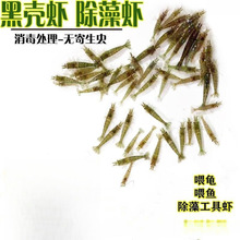 ��ֳ�Ļ��rС�^�p��ˮ�r������坍�r��ˮ�~�����B��С�rι��