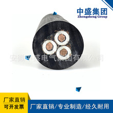 �ұ����z�^�������|ERF 0.6/1KV 1*300