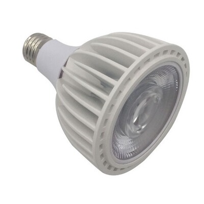 Die Cast Par30 Shell 20W30WPar30 Растительный световой оболочка с 24 градусами 36 градусов объектива PAR30 комплект