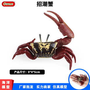 �羳��ͯ�����з���ĺ����г�з���з֩��з�ľ�з�ƽ�ģ�����