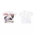 V591 white